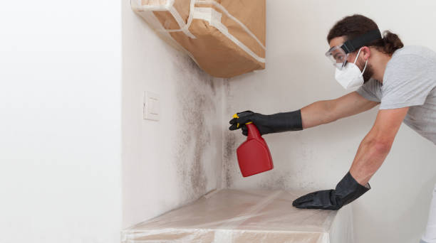 Professional Crawl Space Mold Remediation technician working in Madison, IL
