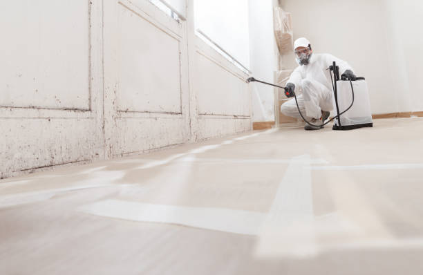 24/7 Emergency Crawl Space Mold Remediation experts in Madison, IL