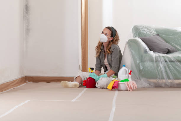 Reliable Crawl Space Mold Remediation contractor in Madison, IL by 24 Hour Mold Removal