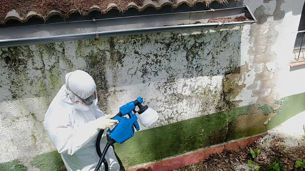 Top rated local Crawl Space Mold Remediation specialists in Madison, IL